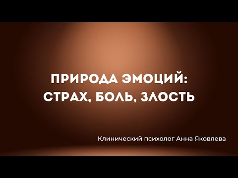 Видео: Природа эмоций: страх, боль, злость