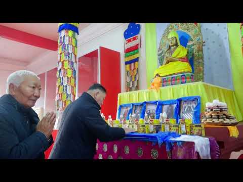 Видео: Ушко лани