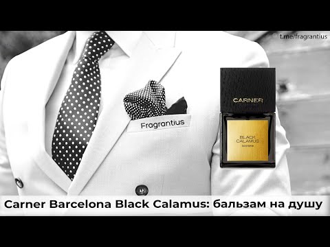 Видео: Carner Barcelona Black Calamus: бальзам на душу