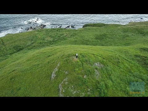 Видео: Зеленые просторы.