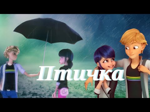 Видео: Леди баг и Супер кот/Птичка