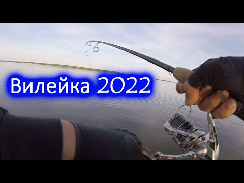 Видео: Рыбалка на Вилейском водохранилище 2022