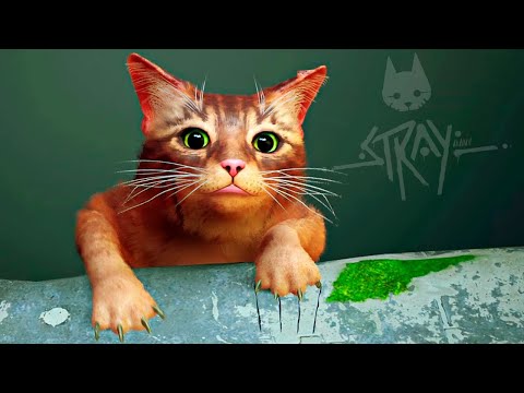 Видео: КИСКУ ЖАЛКО! ► Stray #1 Прохождение
