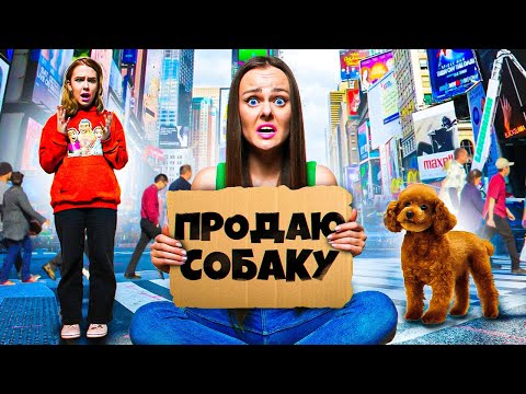 Видео: ВЫЖИВАЕМ 24 ЧАСА НА 100р - ЧЕЛЛЕНДЖ!