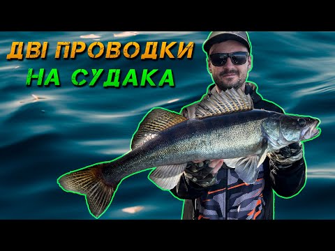 Видео: ✅Ділюсь ДОСВІДОМ! 2 Проводки На Судака!✅
