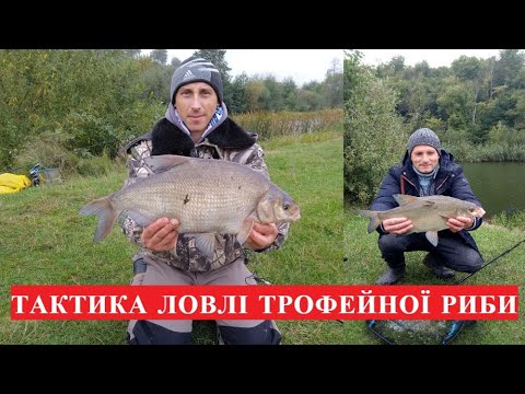 Видео: Як зловити великого ЛЯЩА!!! Рибалка на р. Горинь с. Хотин.