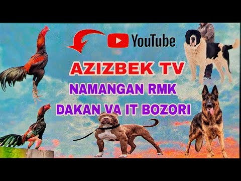 Видео: НАМАНГАН РМК ДАКАН ВА ИТЛАР БОЗОРИ