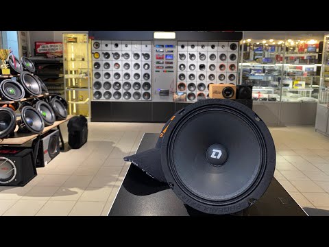 Видео: Обзор и прослушка DL Audio Phoenix Sport 165