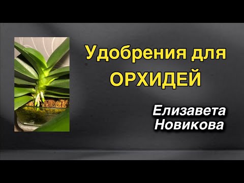 Видео: Можете всё выбрасывать! 😅🤷🏼‍♀️