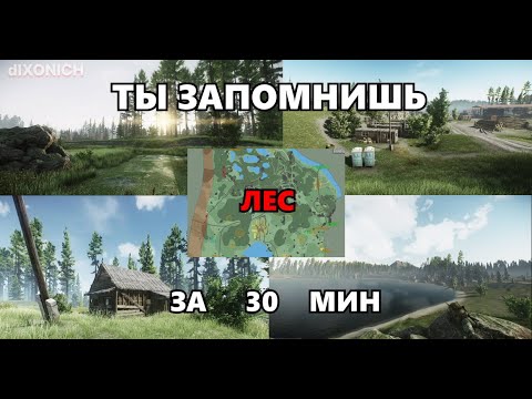 Видео: Как выучить КАРТУ ЛЕС в 2024! Гайд для новичков. Выходы чвк. tarkov * eft * тарков