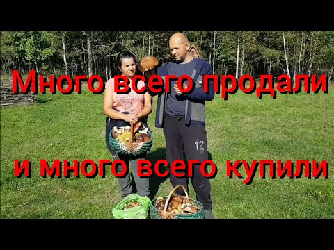 Видео: А теперь приключения хуторян по городам и сёлам .Продали машину и купили унитаз. Новый рецепт грибов