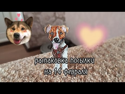 Видео: ★~распаковка посылки на 14 февраля+небольшая игра с собаками~★
