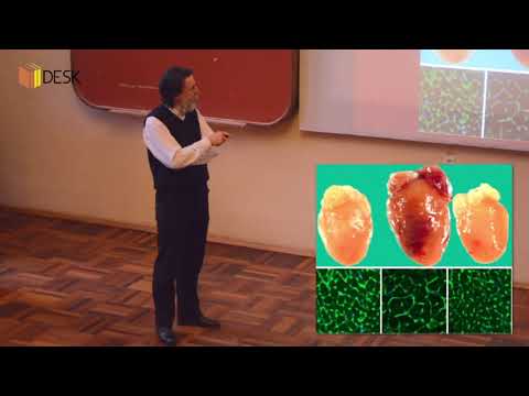 Видео: DESK  ПатологІя серця I частина