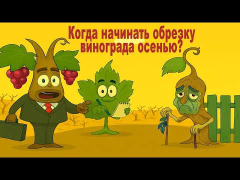 Видео: 🍇 Профессор Урожайкин и все-все-все. Когда НАЧИНАЮТ ОБРЕЗКУ ВИНОГРАДА осенью. Эксперимент!