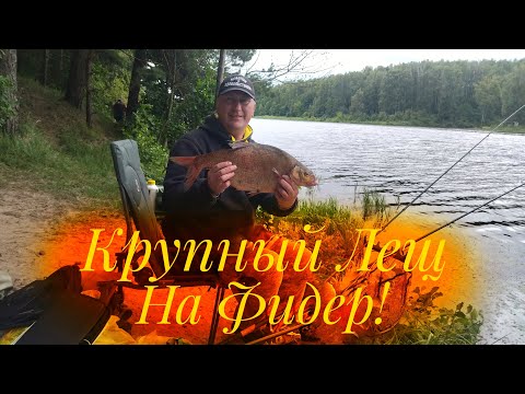 Видео: ЛУЧШАЯ РЫБАЛКА СЕЗОНА! ПОЛДНЯ КОРМИЛ И ЛЕЩИ ПРИШЛИ!