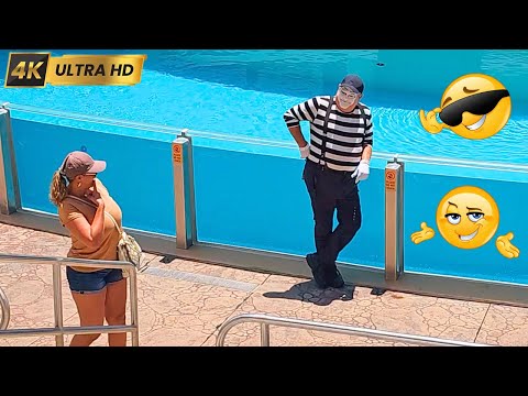 Видео: Том, самый вирусный мим в социальных сетях 👏😂🤣 #tomthemime #seaworldmime #seaworldorlando