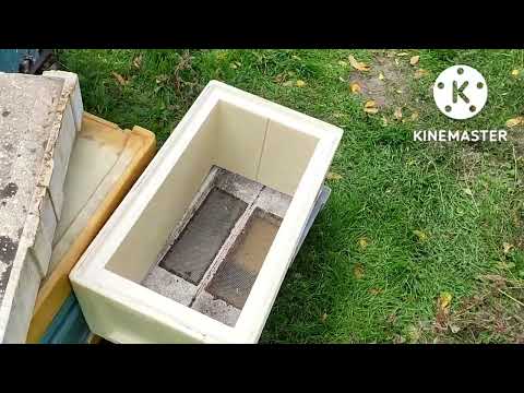 Видео: Шестирамочники. Разбираемся в совместимости BeeNuc&Apix