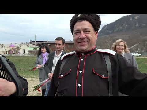 Видео: Фильм Сватовство Гуамка Казаки