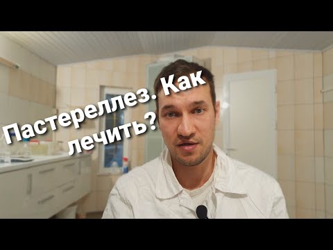 Видео: Пастереллез у кроликов. Как лечить?