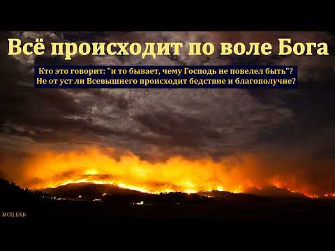 Видео: "Всё происходит по воле Бога". А. А. Шамне. МСЦ ЕХБ