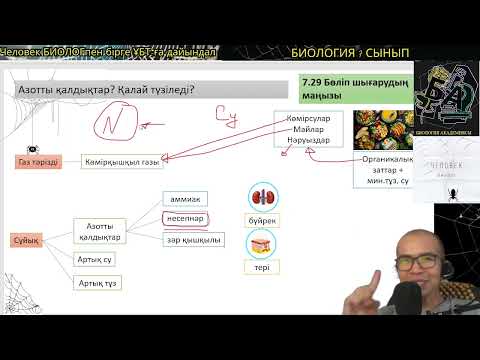 Видео: 7.31.Азотты қалдықтар? Ағзада Қалай түзіледі? #несепнәр #биология #7сыныпбиология #ұбтбиология