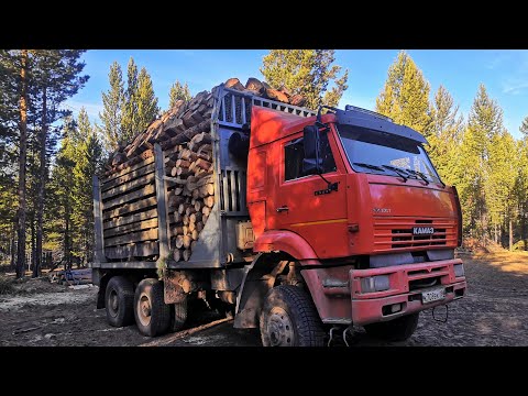 Видео: Приехал за дровами!!!