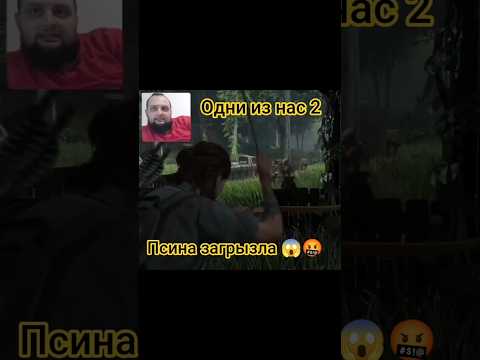 Видео: Загрызла псина 😱🤬 #игры #стрим #gameplay #games #прохождение #приколы #lastofus #gaming #stream