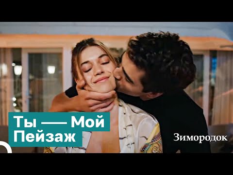 Видео: Ты Смотри Ночь, А Я Смотрю На Тебя | Зимородок
