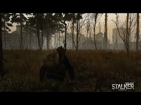 Видео: СТРИМ STAY OUT Без голоса (Фармлю на АК-107)