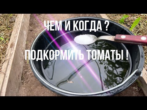 Видео: Подкормка для томатов. Обзор теплиц . Разный срок посадки ,разная подкормка.