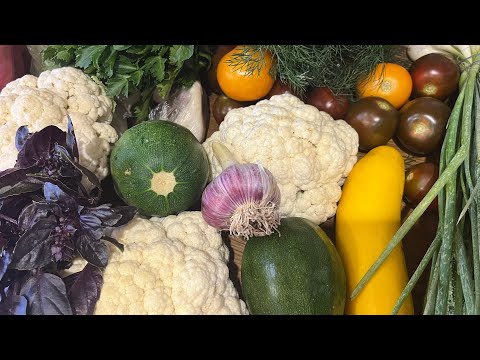 Видео: МОЯ НИЗКОУГЛЕВОДНАЯ ЗАКУПКА ЧТО ЕСТЬ ЧТОБЫ ПОХУДЕТЬ