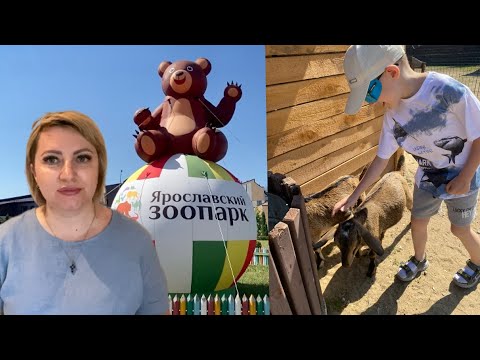 Видео: Ярославль/Зоопарк/Мучаемся от жары☀️.