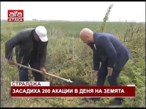 Видео: Стралджа. Засадиха 200 акации в Деня на Земята /23.04.2019 г./