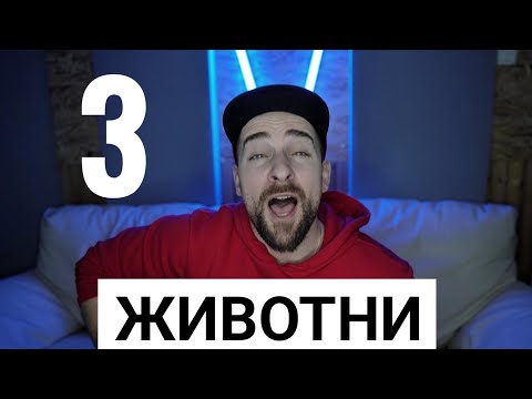 Видео: Кој те праша?! - Животни 3