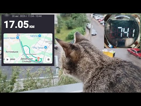 Видео: Дед 60+лет.  17км ... единственный выходной на тренировку ... #спорт #бег #sports