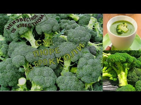 Видео: Суп пюре из брокколи и интересные факты об этой чудо капусте. Вы точно этого не знали!