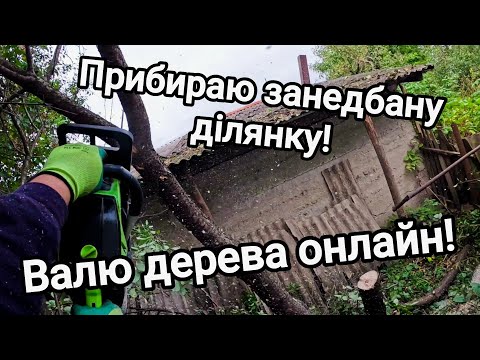 Видео: Купив хату в селі! Знову валю дерева, знову будуть дрова! Знайшов в лісі цуценя, забрав додому!