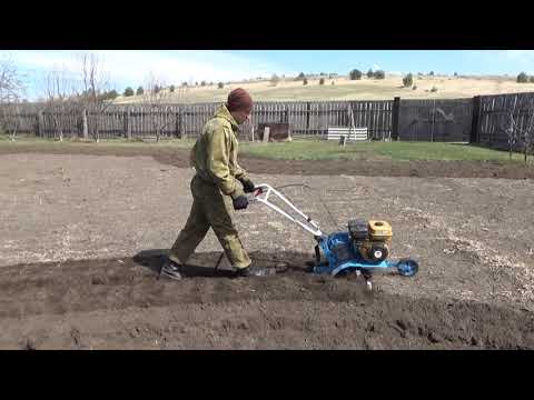 Видео: Фрезерование участка мотокультиватором НЕВА мк 100р
