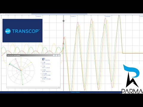 Видео: Обзор программы Transcop Парма