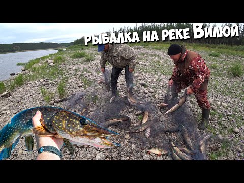 Видео: Рыбалка на реке Вилюй