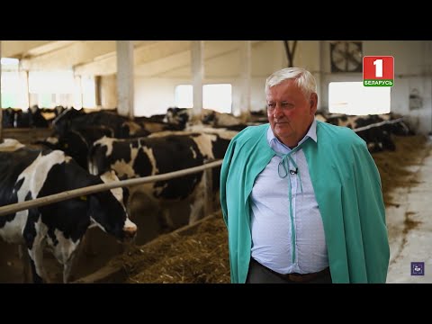 Видео: Председатель агрокомбината «Снов». Один день. Рабочая профессия