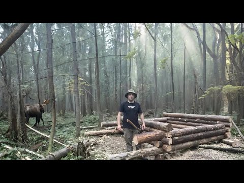 Видео: ▪️СТРОЮ УЮТНЫЙ А-ФРЕЙМ ДОМИК ИЗ БРЕВЕН! ПОДНИМАЮ ПЕРВЫЕ РЯДЫ