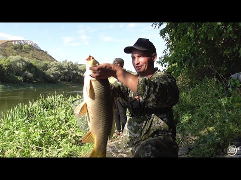 Видео: САЗАН, СОМ, КАРАСЬ. Ловля на донки р.Дон конец Августа 2021