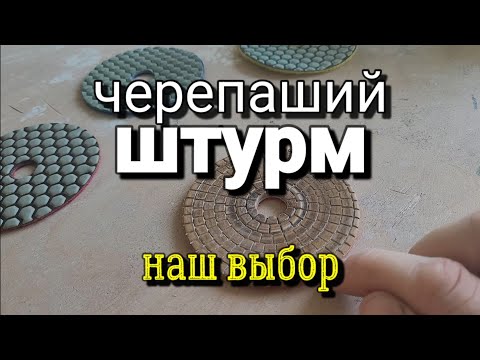 Видео: Черепаха и платформа для неё. Что выбрать?