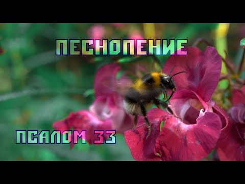 Видео: Псалом 33 Благословлю Господа на всякое время