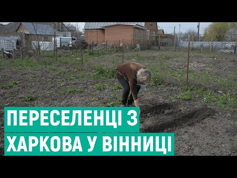 Видео: "Їхали в нікуди". Переселенці з Харківщини про переїзд на Вінниччину