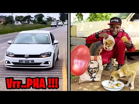 Видео: HayTada (Только в Южной Африке #04)