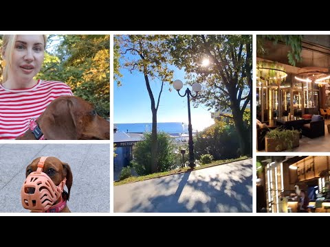 Видео: СТРАШНАЯ ИСТОРИЯ,РАЗВОРАЧИВАЮЩАЯСЯ НА ГЛАЗАХ/ВСТРЕЧАЕМСЯ С ОДНОКЛАССНИКАМИ/РЕСТОРАН С ИЗЮМИНКОЙ