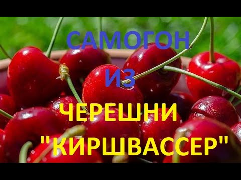 Видео: самогон из черешни "киршвассер"