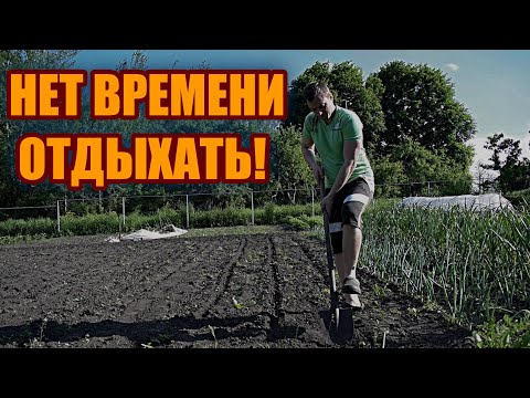 Видео: ОТВЕЗЛИ СЫНА в ДЕРЕВНЮ | РАБОТА в ОГОРОДЕ | БЕСЕДЫ о разном за праздничным столом